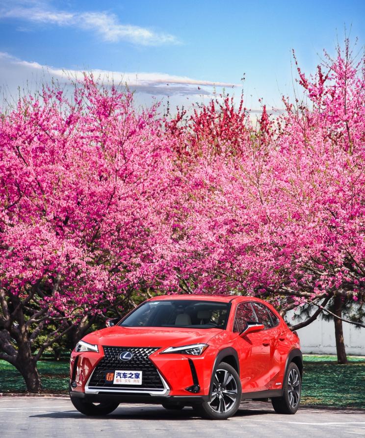 朝花夕拾 测试2019款雷克萨斯UX 260h