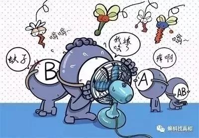 夏季驱蚊指南：这才是最正确的姿势