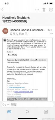 真假难辨的加拿大鹅 给跨境电商们提了个醒