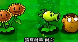 植物大战僵尸3开启Pre-Alpha测试 横版游戏变竖版