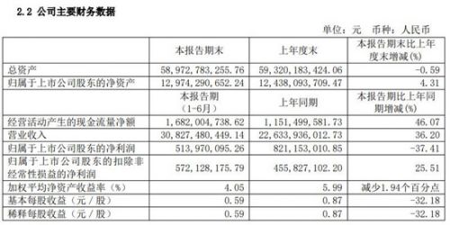 均胜电子今年上半年净利润达5.1亿元 同比减少37.41%