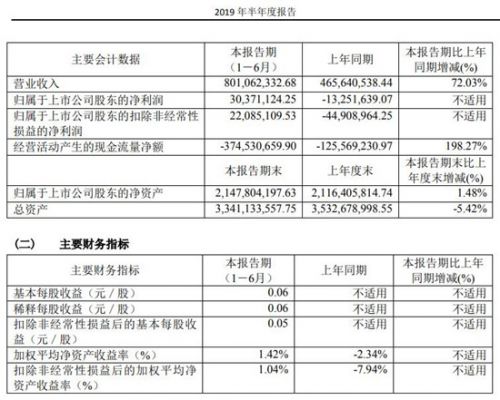 科创板｜中微公司上半年实现净利润3037万元 同比扭亏为盈
