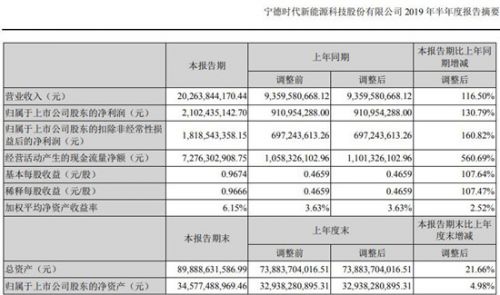 宁德时代上半年实现营收202.6亿元 同比增长116.5%