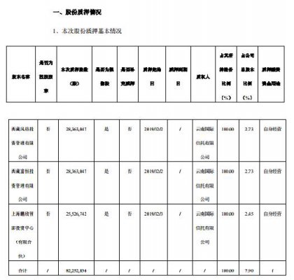 武汉科技|闻泰科技三股东股份全数质押给信托 占总股本7.9%