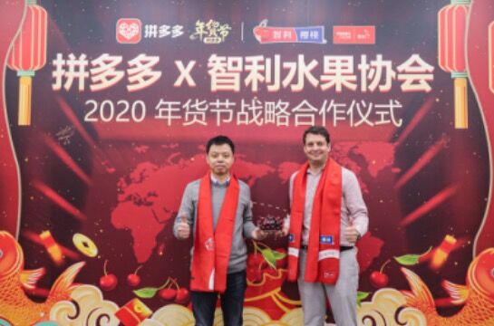 拼多多与智利水果出口商协会达成合作 涉及商户对接、市场拓展等
