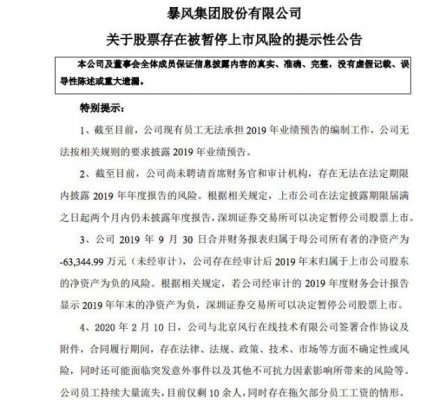 暴风集团：公司无法按相关规则的要求披露2019年业绩预告