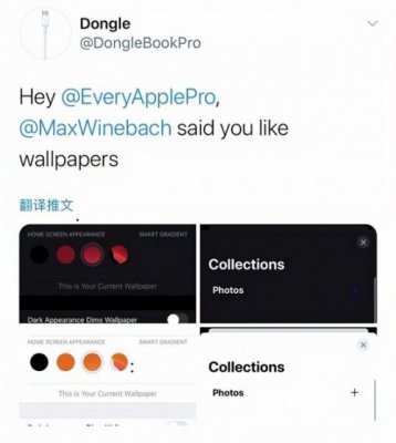 苹果iOS 14系统面板截图曝光：加入新墙纸设置