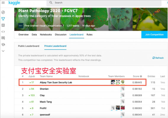 支付宝AI大幅提升细粒度图像分类识别精度：一眼看穿万物细微差异