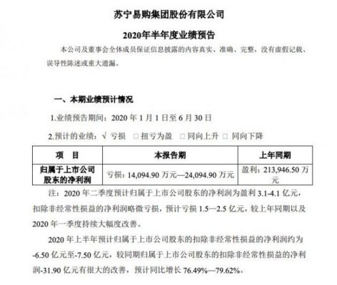 苏宁易购：预计上半年扣非后净亏损6.50亿元-7.50亿元